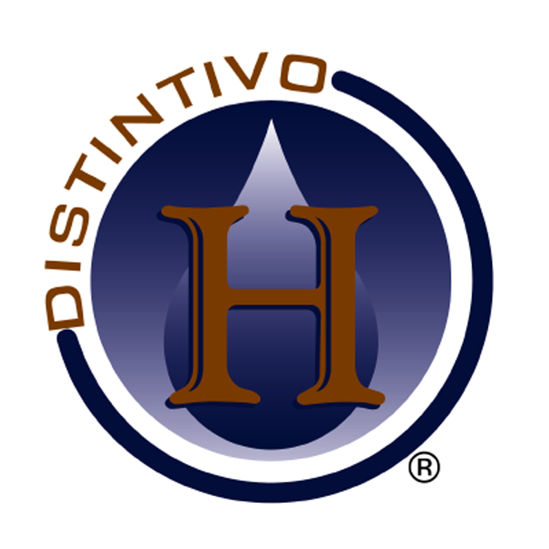 Distintivo H